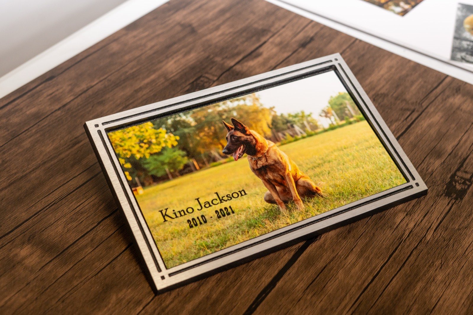 Pet memorial plaque reading Kino Jackson 2010–2021, a photographic panel of a Belgian Malinois set into an engraved wood frame.